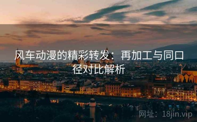 风车动漫的精彩转发：再加工与同口径对比解析