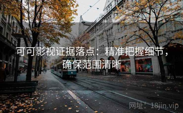 可可影视证据落点：精准把握细节，确保范围清晰