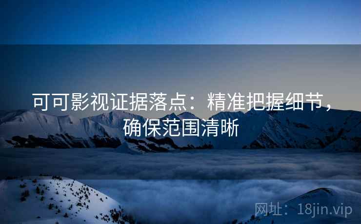 可可影视证据落点：精准把握细节，确保范围清晰